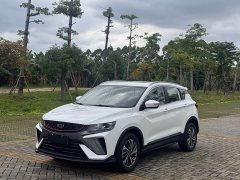 Geely Bingyue 2021 1.4T DCT Platinum Edition - ფოტო 1