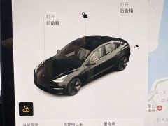 Tesla Model 3 Standard Range RWD Upgrade 3D6 - ფოტო 13