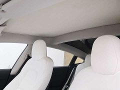 Tesla Model 3 Standard Range RWD Upgrade 3D6 - ფოტო 15