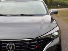 Changan Eado PLUS Blue Whale NE 1.4T GDI DCT Luxury Edition - ფოტო 8