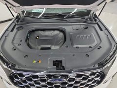 Ford Lingyù Lingyue EcoBoost 225 Platinum Edition 6-Seater - photo 10