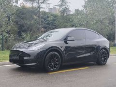 Tesla Model Y 2022 Facelift Rear-Wheel Drive - ფოტო 1