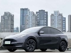 Tesla Model Y Rear-Wheel Drive - ფოტო 1