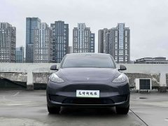 Tesla Model Y Rear-Wheel Drive - ფოტო 2