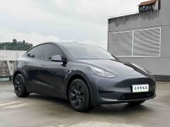 Tesla Model Y Rear-Wheel Drive - ფოტო 3