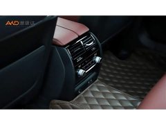BMW 5 Series 530Li Luxury M Sport Package - ფოტო 9