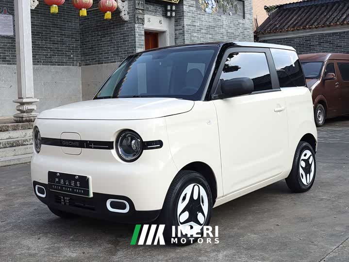 BYD Panda Mini 210km Vitality Edition - ავტომობილი ჩინეთიდან