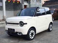 BYD Panda Mini 210km Vitality Edition - ფოტო 1