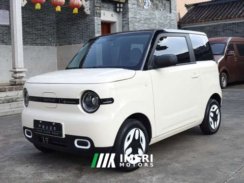 2025 BYD Panda Mini 210km Vitality Edition - ავტომობილი ჩინეთიდან