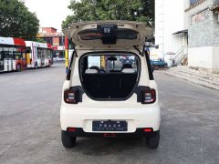 BYD Panda Mini 210km Vitality Edition - ფოტო 10