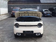 BYD Panda Mini 210km Vitality Edition - ფოტო 12