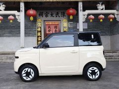 BYD Panda Mini 210km Vitality Edition - ფოტო 15