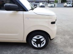 BYD Panda Mini 210km Vitality Edition - ფოტო 16