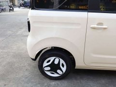 BYD Panda Mini 210km Vitality Edition - ფოტო 18