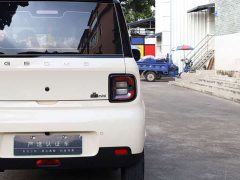 BYD Panda Mini 210km Vitality Edition - ფოტო 19