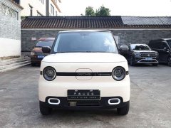 BYD Panda Mini 210km Vitality Edition - ფოტო 2