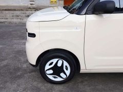 BYD Panda Mini 210km Vitality Edition - ფოტო 20