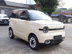 BYD Panda Mini 210km Vitality Edition - ფოტო 3