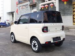 BYD Panda Mini 210km Vitality Edition - ფოტო 9