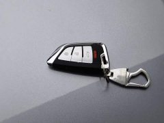 BYD Qin PLUS Champion Edition DM-i 55KM Leading - ფოტო 19