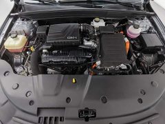 BYD Qin PLUS Champion Edition DM-i 55KM Leading - ფოტო 6