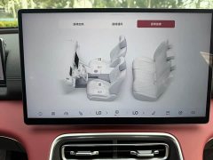 Chery Fengyun A9L Four-Wheel Drive High-Performance Peak Edition - photo 11
