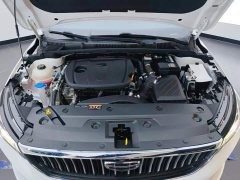 Geely Emgrand 4th Generation Champion Edition 1.5L CVT Flagship - ფოტო 10