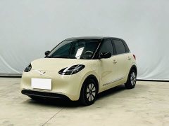 Wuling Binguo 2023 333km Lingxi Connected Edition - ფოტო 1