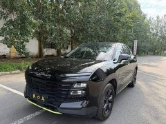 Jetour Jietu Dasheng 1.5T DCT Transcend Edition - ფოტო 1
