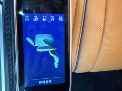 Kediya Cuttia 2.0T Tia M1 - ფოტო 18
