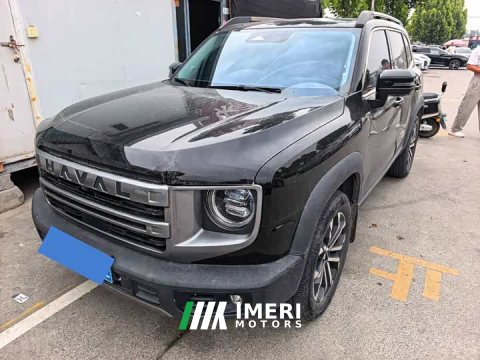 2023 Great Wall Dachshund 2024 1.5T DCT Border Collie Edition - ავტომობილი ჩინეთიდან