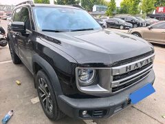 Great Wall Dachshund 2024 1.5T DCT Border Collie Edition - ფოტო 3
