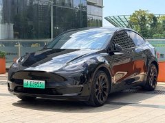Tesla Model Y Standard Range RWD - ფოტო 1