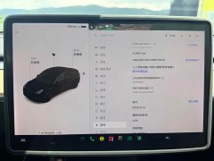 Tesla Model Y Standard Range RWD - ფოტო 16