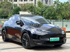 Tesla Model Y Standard Range RWD - ფოტო 3