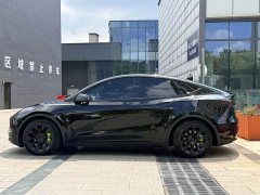 Tesla Model Y Standard Range RWD - ფოტო 4