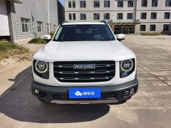 Great Wall Dachshund 2022 1.5T DCT Two-Wheel Drive Labrador Edition - ფოტო 2
