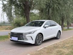 BYD Destroyer 05 2023 Champion Edition DM-i 55KM Luxury - ფოტო 1