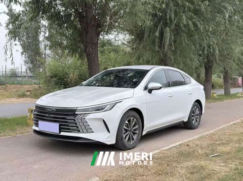2024 BYD Destroyer 05 Champion Edition DM-i 55KM Luxury