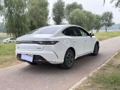 BYD Destroyer 05 2023 Champion Edition DM-i 55KM Luxury - ფოტო 10