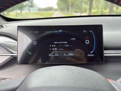 BYD Destroyer 05 2023 Champion Edition DM-i 55KM Luxury - ფოტო 11