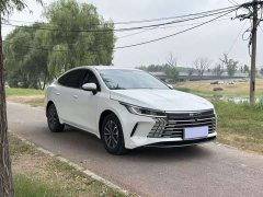 BYD Destroyer 05 2023 Champion Edition DM-i 55KM Luxury - ფოტო 3