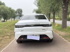 BYD Destroyer 05 2023 Champion Edition DM-i 55KM Luxury - ფოტო 9