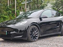 Tesla Model Y 2021 Performance All-Wheel Drive - ფოტო 1