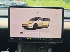 Tesla Model Y 2021 Performance All-Wheel Drive - ფოტო 16