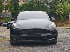 Tesla Model Y 2021 Performance All-Wheel Drive - ფოტო 2