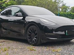 Tesla Model Y 2021 Performance All-Wheel Drive - ფოტო 8