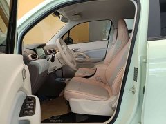 Leapmotor Leapo T03 310 Comfort Edition - ფოტო 13