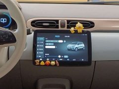 Leapmotor Leapo T03 310 Comfort Edition - ფოტო 19