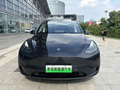 Tesla Model Y 2024 Rear-Wheel Drive - ფოტო 2